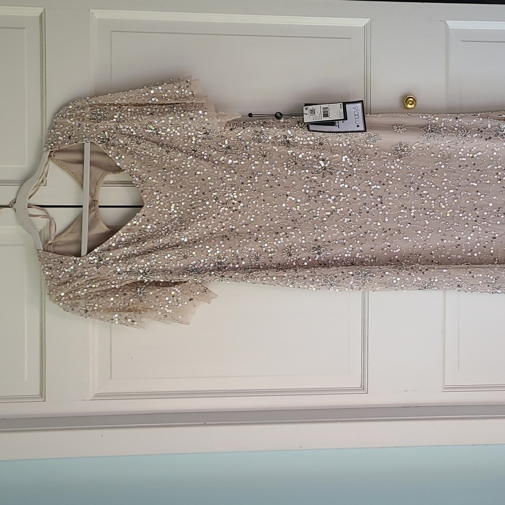 NWT Adrianna Papell mermaid beaded mother of the bride, mother of the groom gown